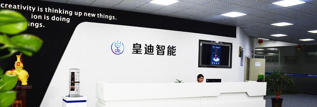 皇迪