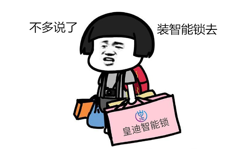 装皇迪智能锁