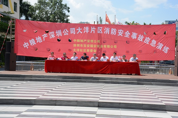 中粮地产